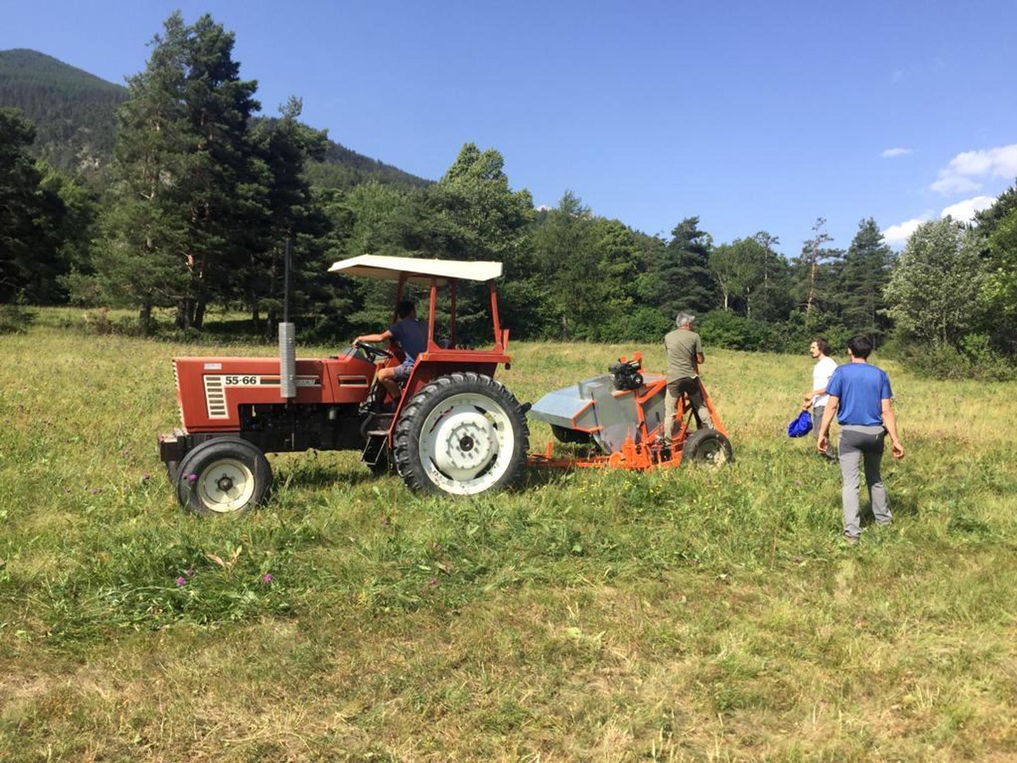 Projet Biodiversité :  « Brossage » des prairies en val de Suse pour des graines locales