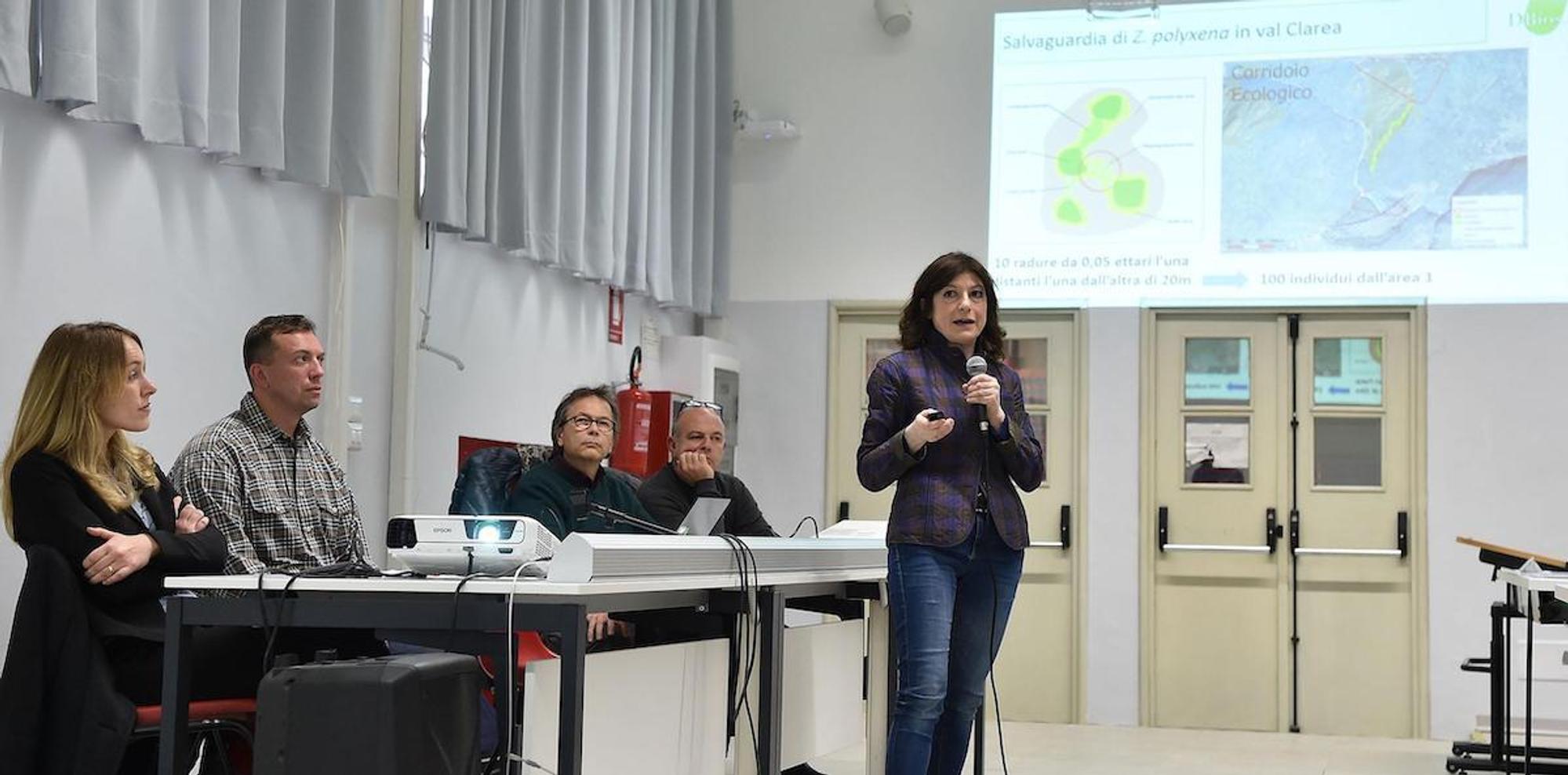 Un corridor écologique pour protéger le papillon Zerynthia